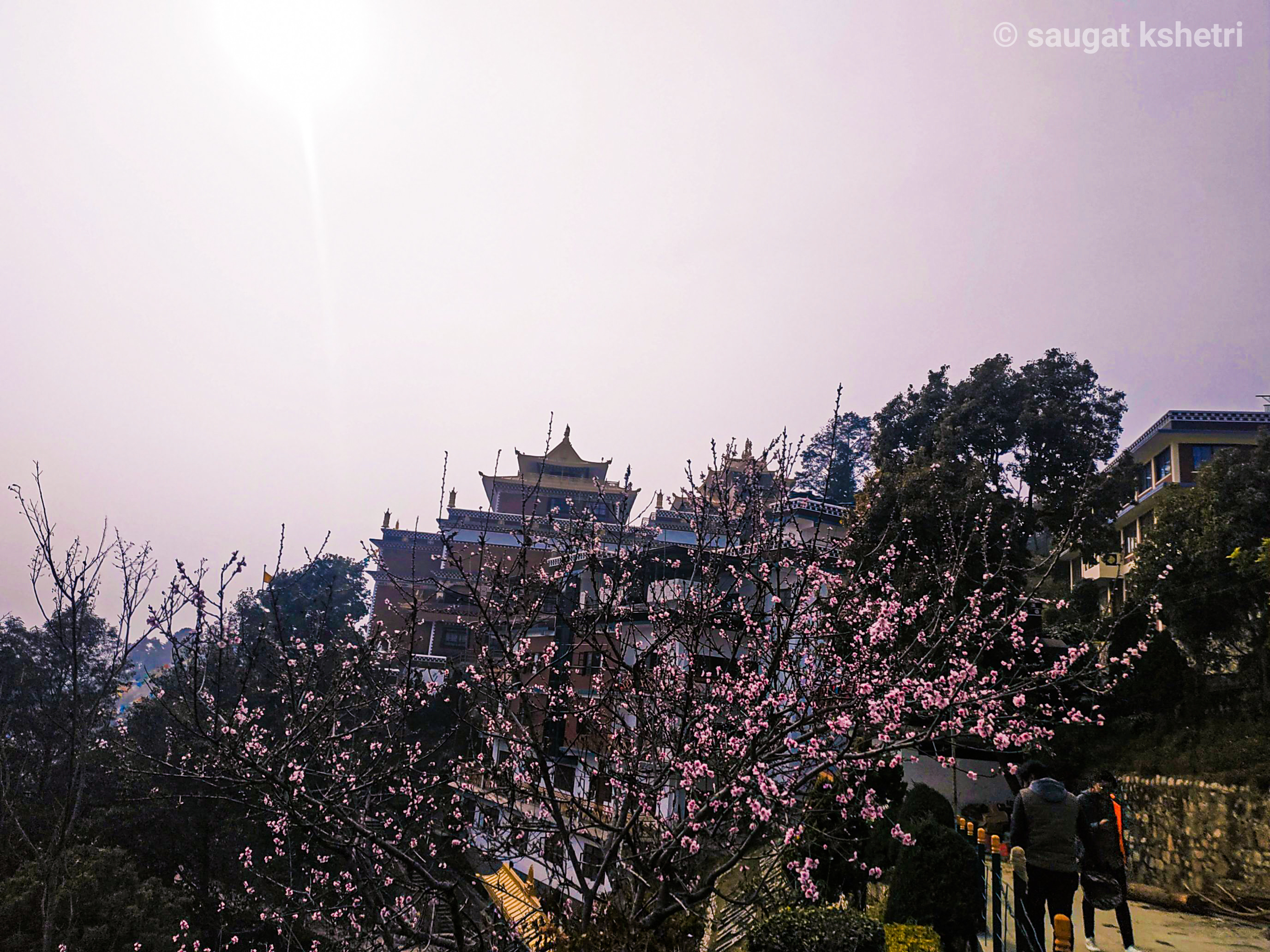 NamoBuddha